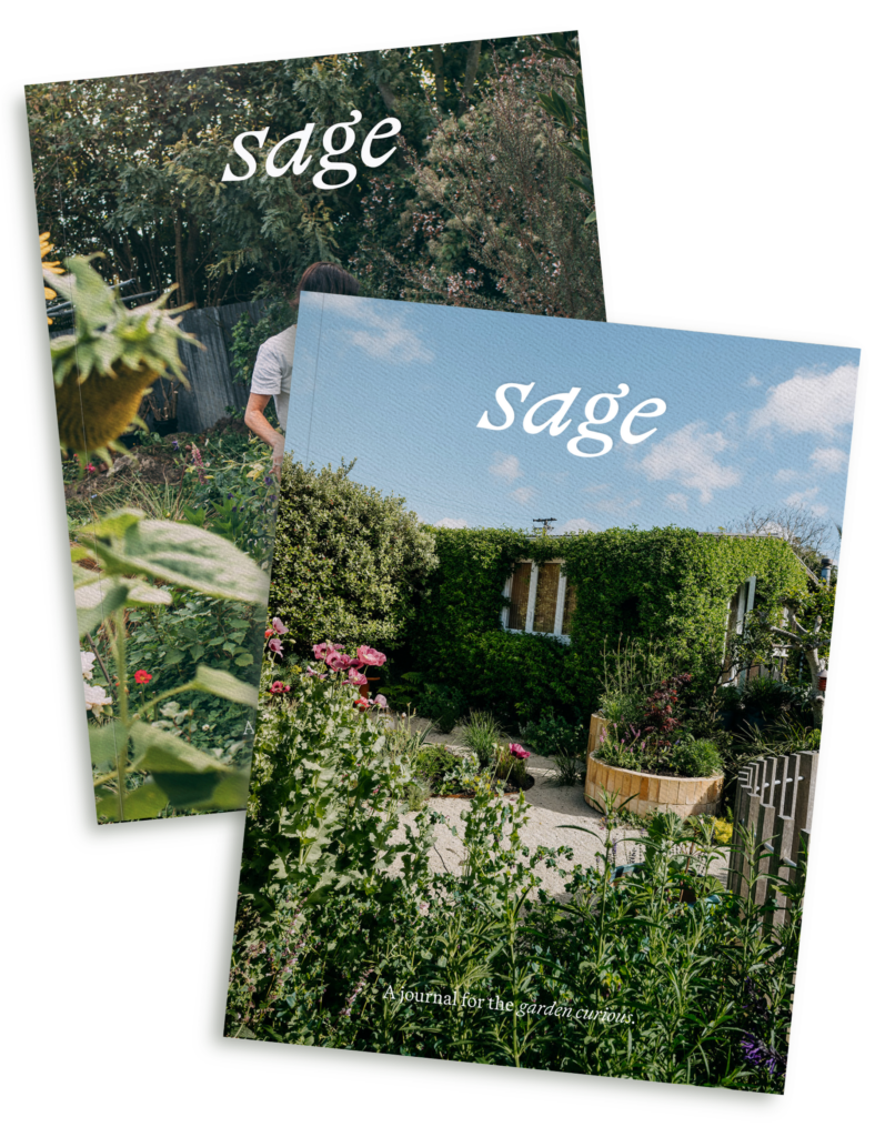 Cover images - Shopify (2)