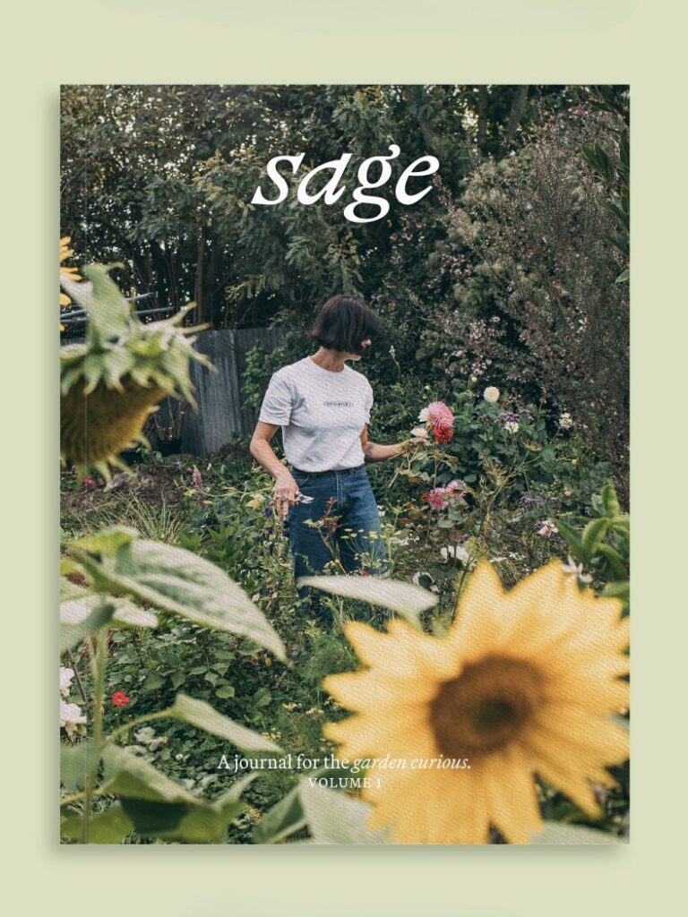 Sage Journal Vol. 1 cover - Anna Worthington