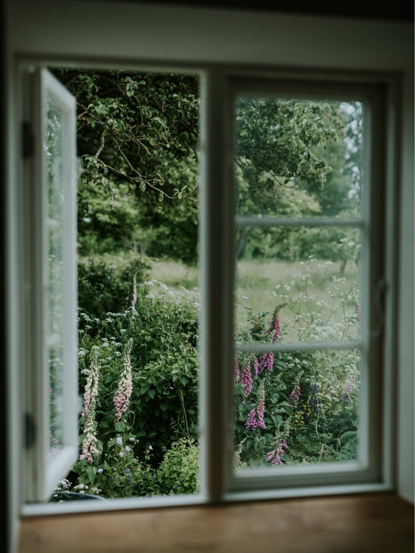 Foxgloves peeping their heads above the cottage windows.