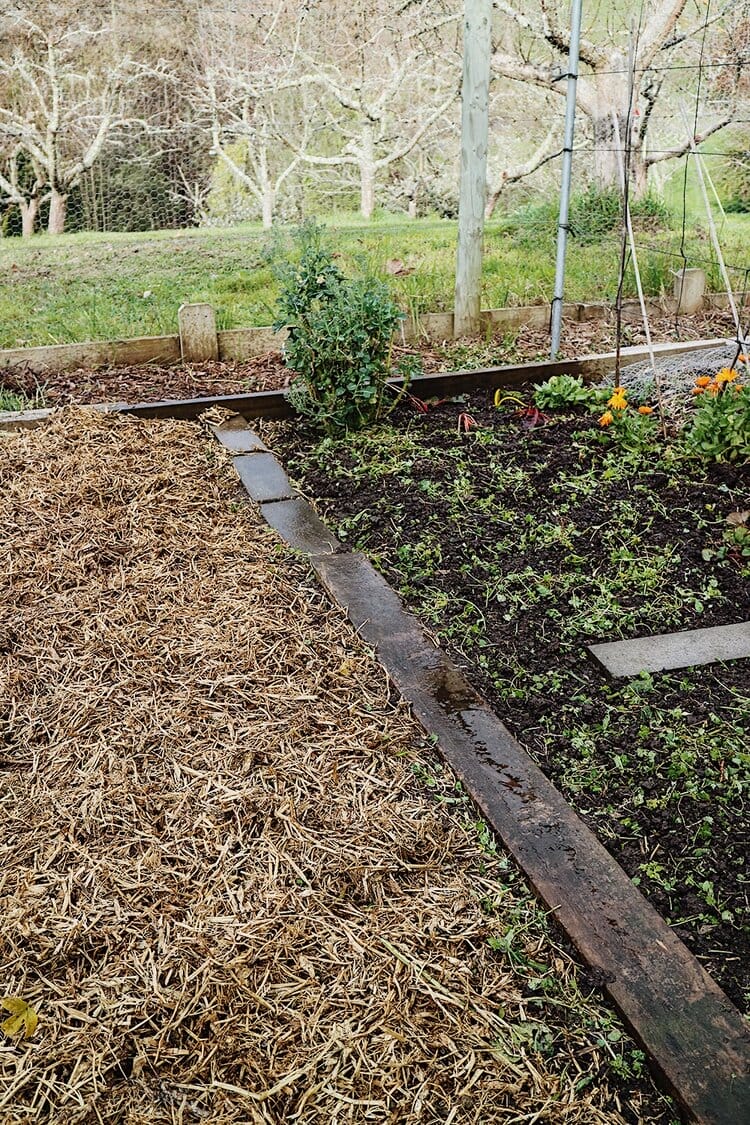 Good garden beds preparation is vital to grow healthy plants.