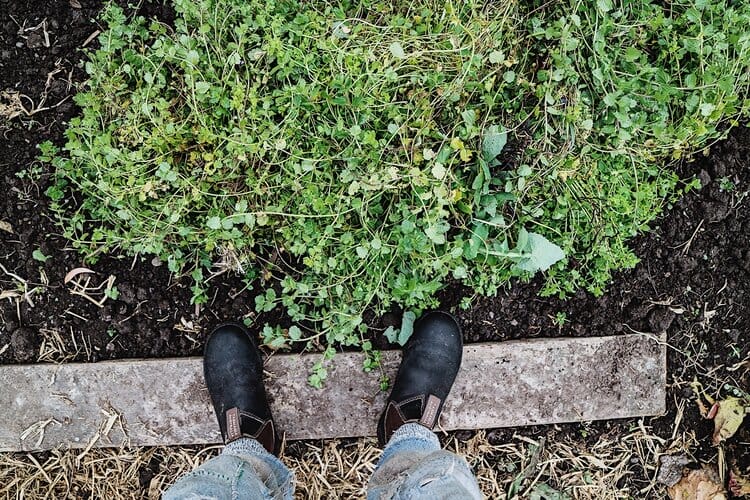 Non-invasive garden waste can be chopped up with a spade and mixed through soil to break down for a month or two. Water well, mix with other nutrient rich organic additions then mulch.