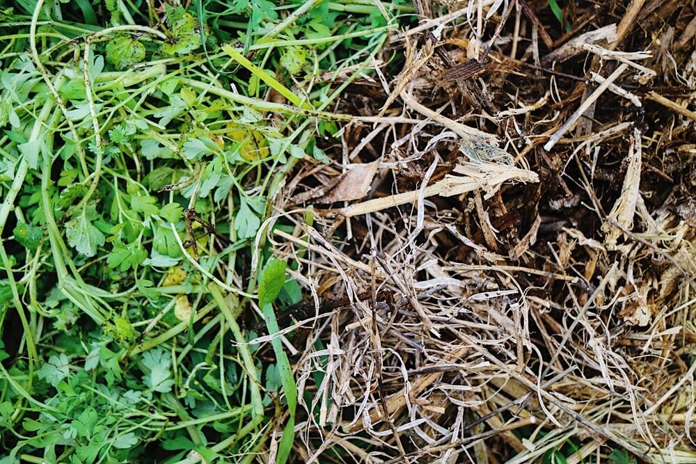 A compost, at its very basic, is a mixture of 1/3 green organic material, 2/3 brown carbon material, water and air. Microorganisms, minerals, diverse plant matter, seaweed, kitchen waste, bones, wood ash all help to make it as nutrient dense and potent as possible.