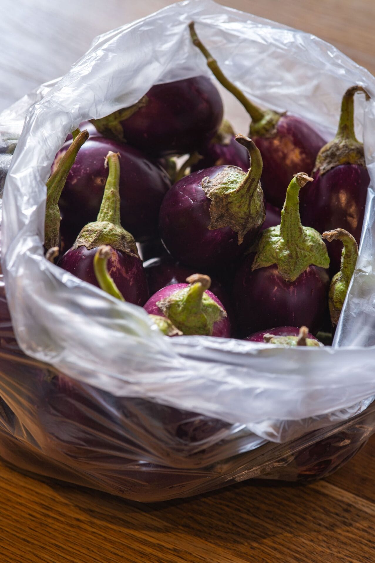 Aubergine