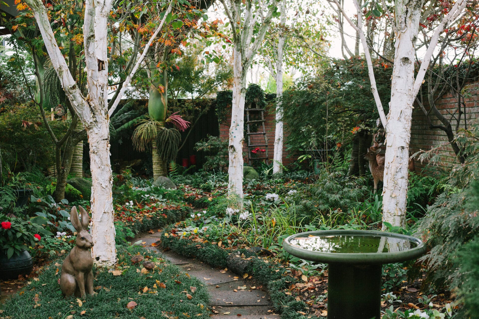 Amberwood-1.jpg