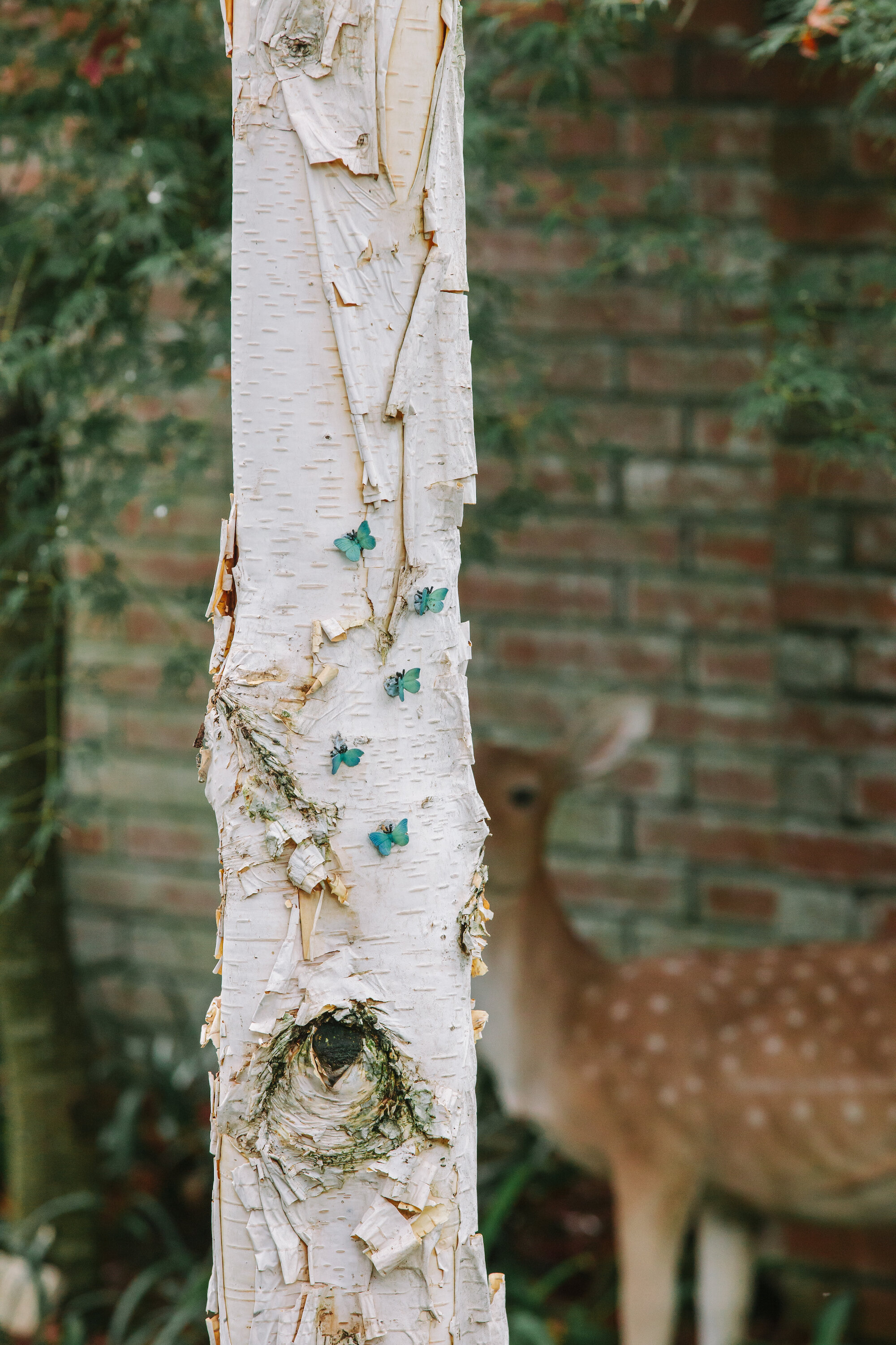 Amberwood-59.jpg