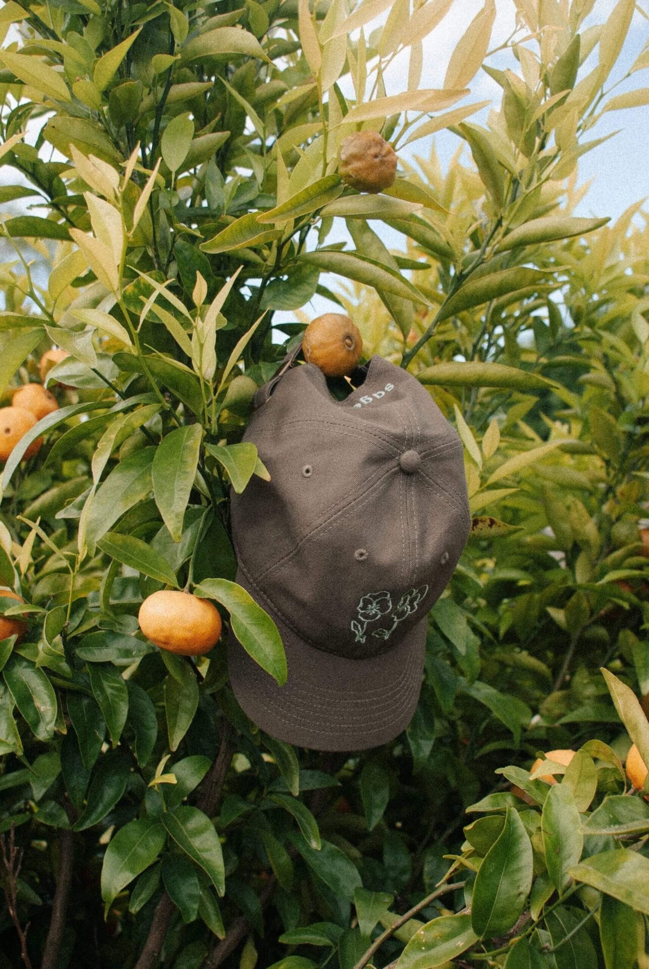Sage x Mollie Howard Pansy Cap Sage x Mollie Howard Pansy Cap - Gardening Cap