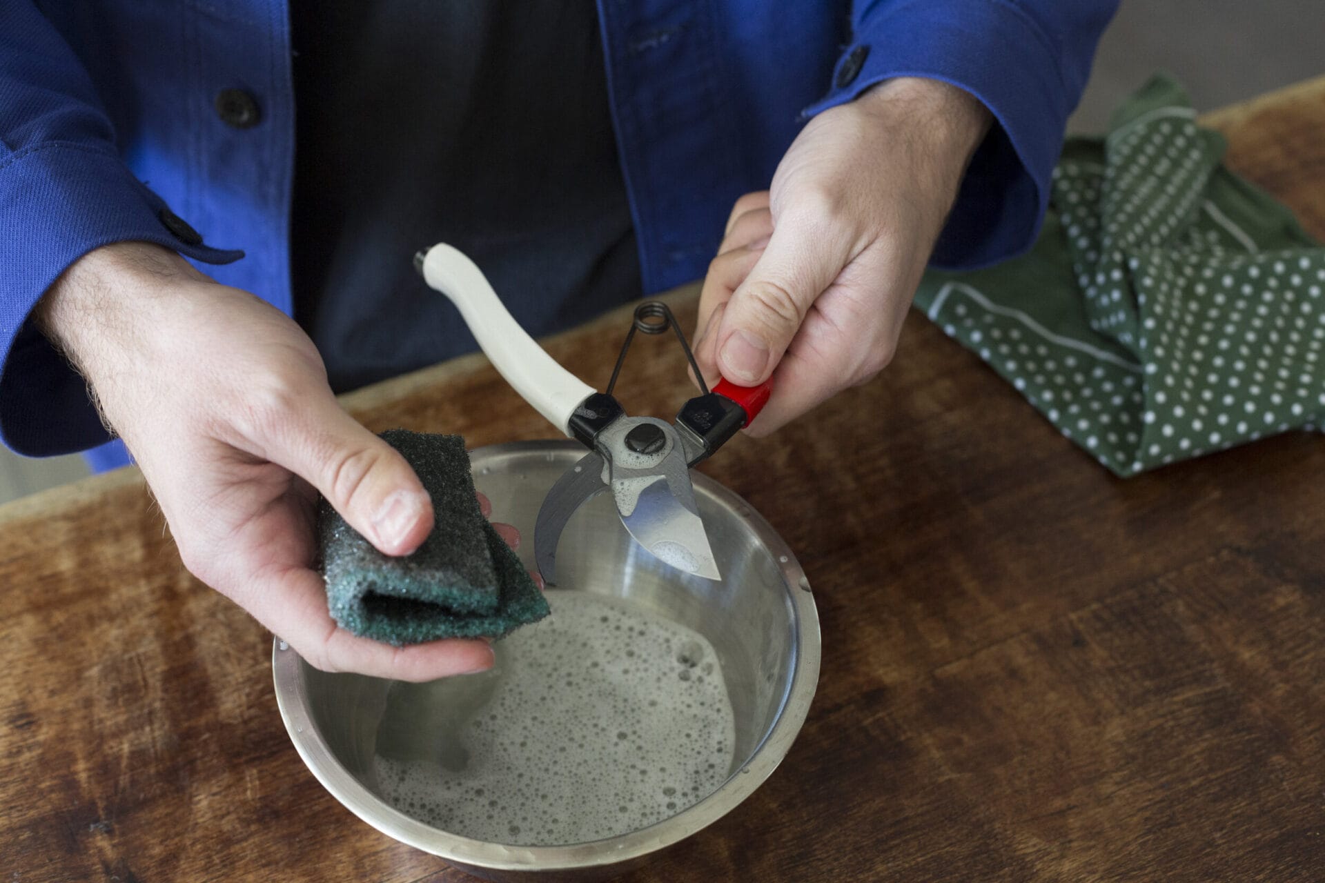 How to: Take care of your tools - Camelia Oil