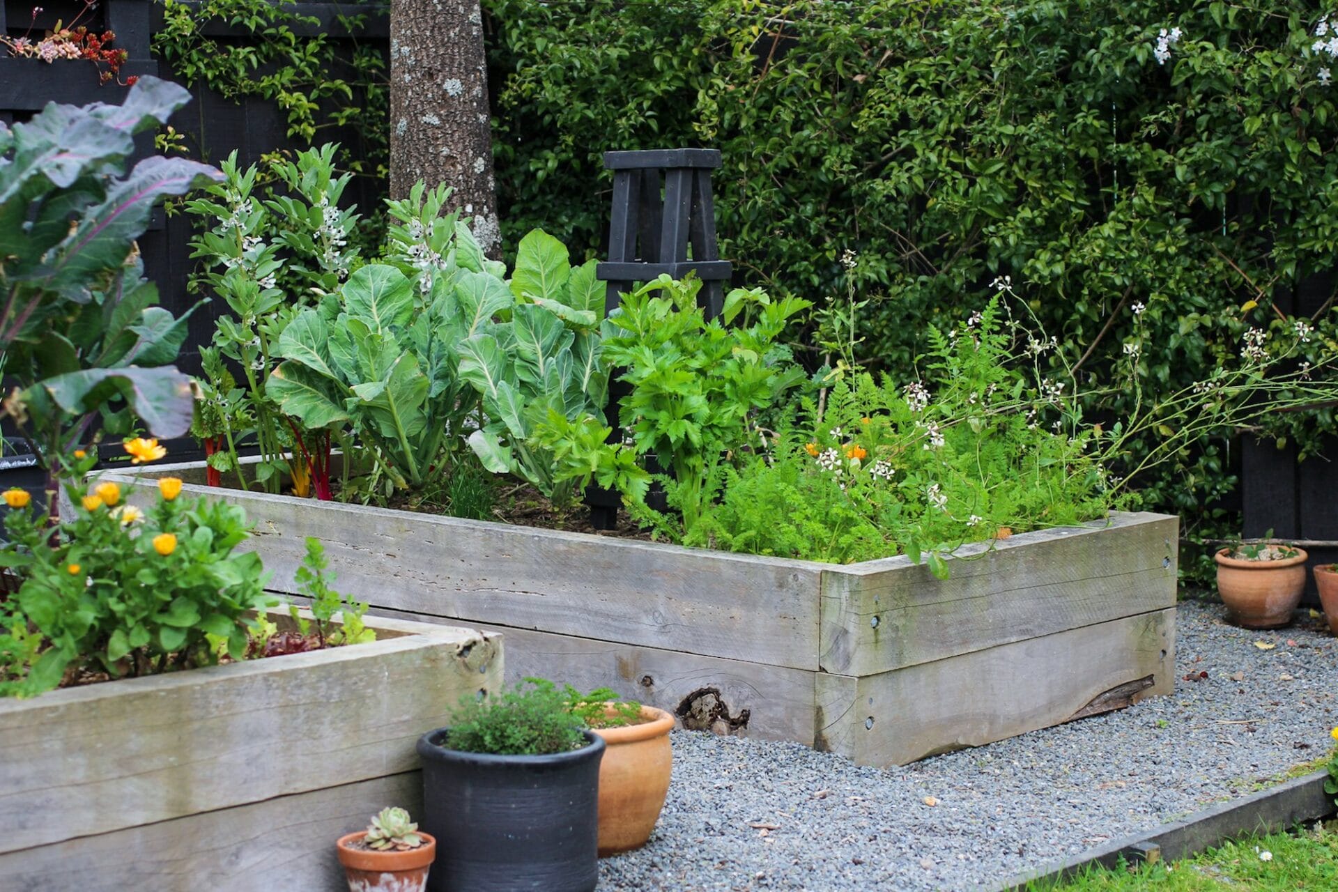 How to: Build a Raised Garden Bed