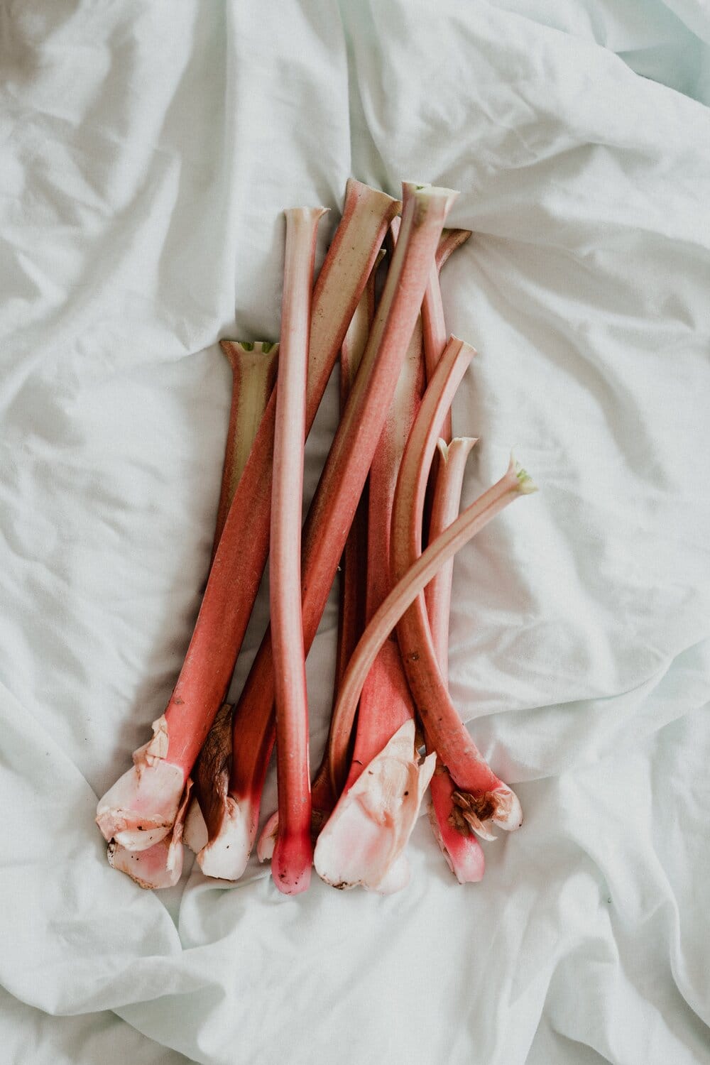 JULYGARDENGUIDE-Rhubarb-SageJournalformat1000w