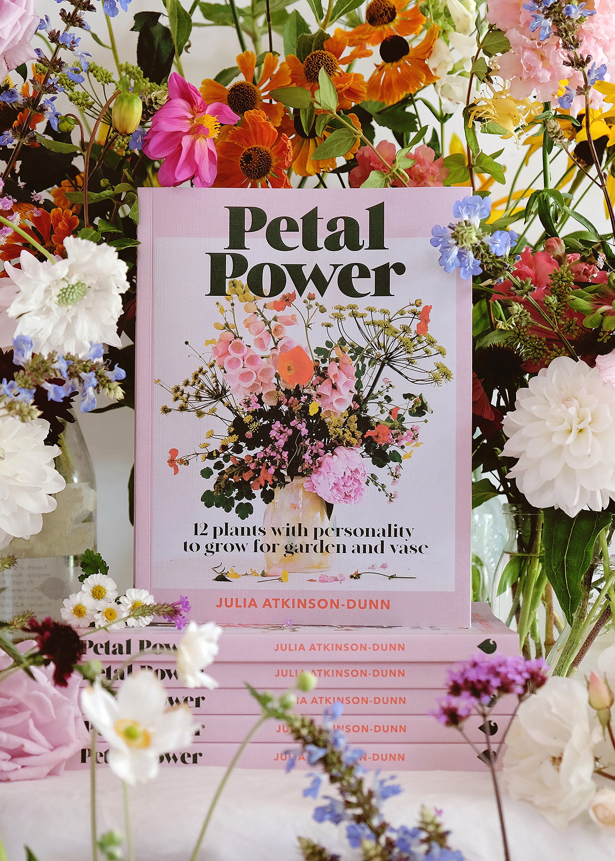 PP cover2.jpg