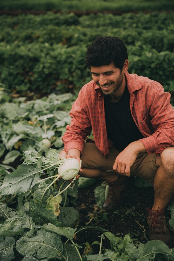 Pakaraka Permaculture - Wild Kinships
