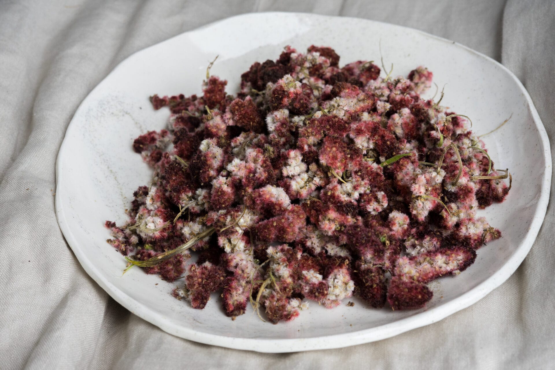 Sumac drupes ready to be made into quallah.—