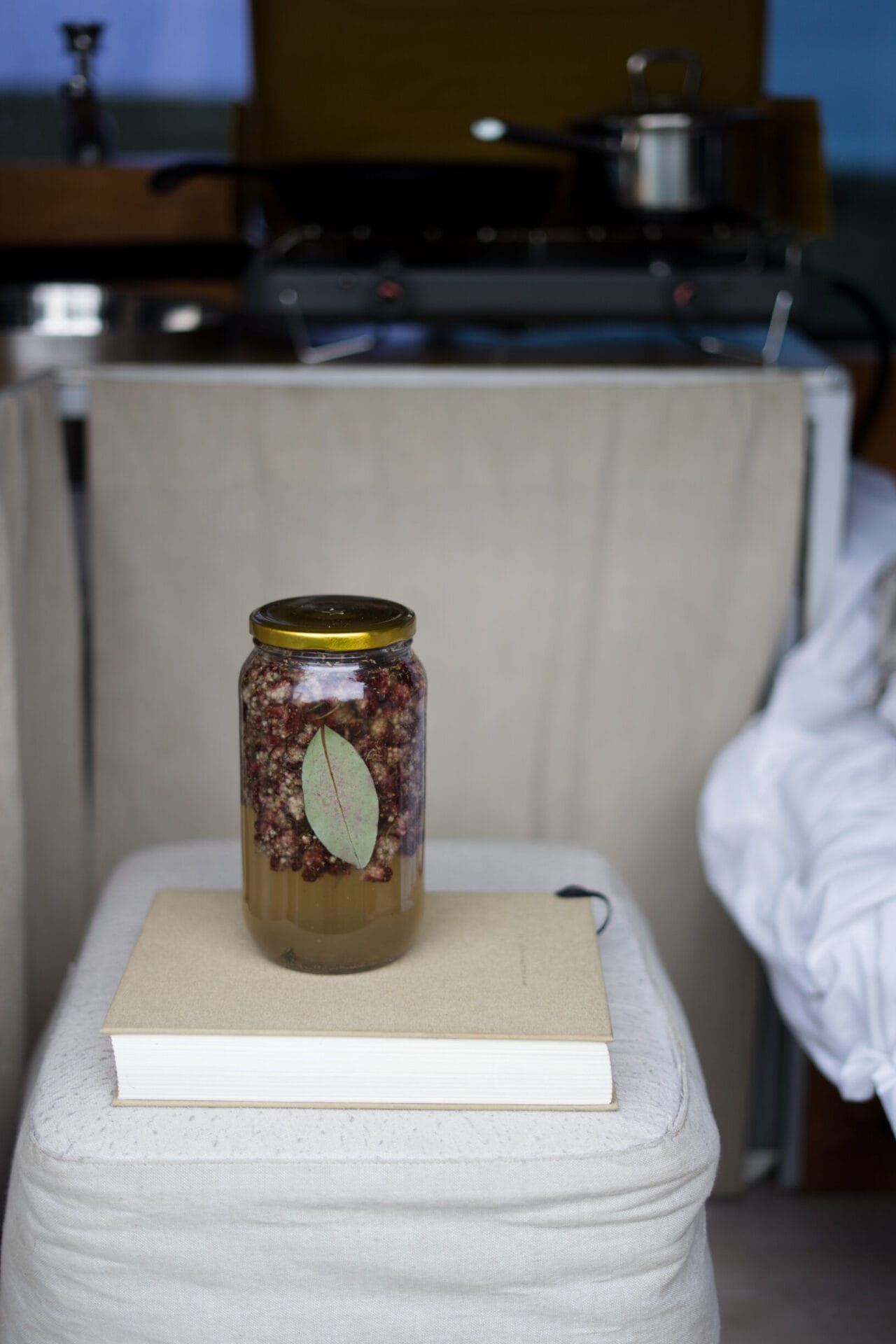 Staghorn Sumac- Sophie Merkens (9 of 11).jpg