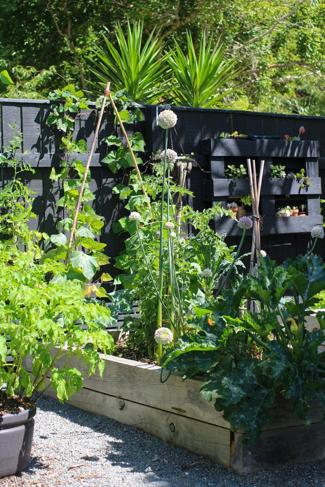 Build your vegetable garden in a sunny spot