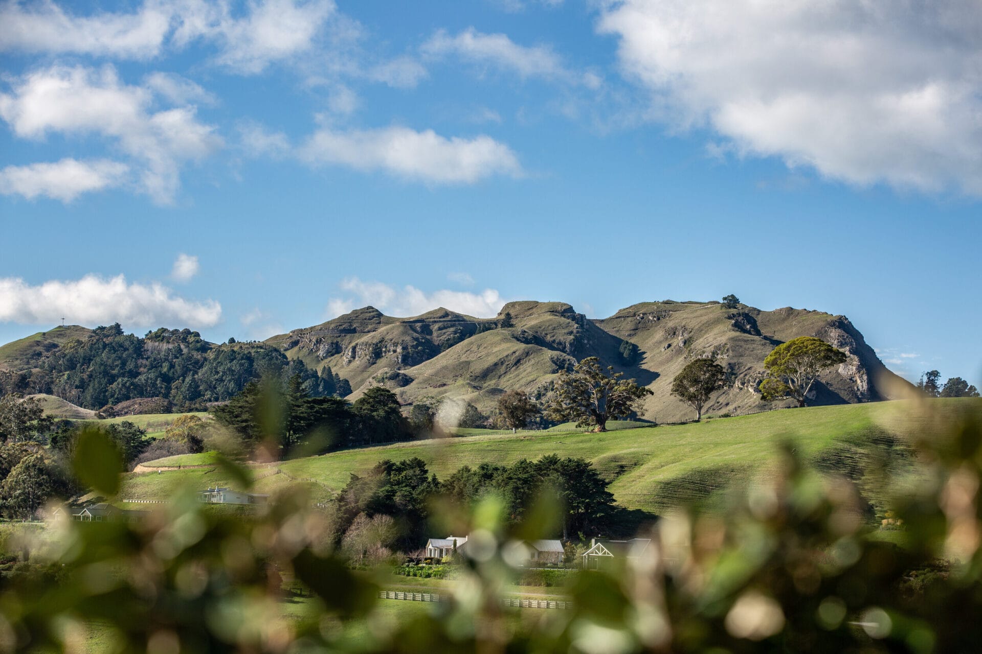 Te Mata Peak | Havelock North