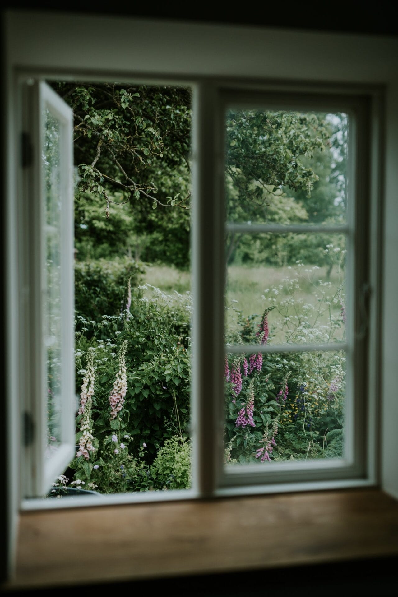 indoors (3).jpg