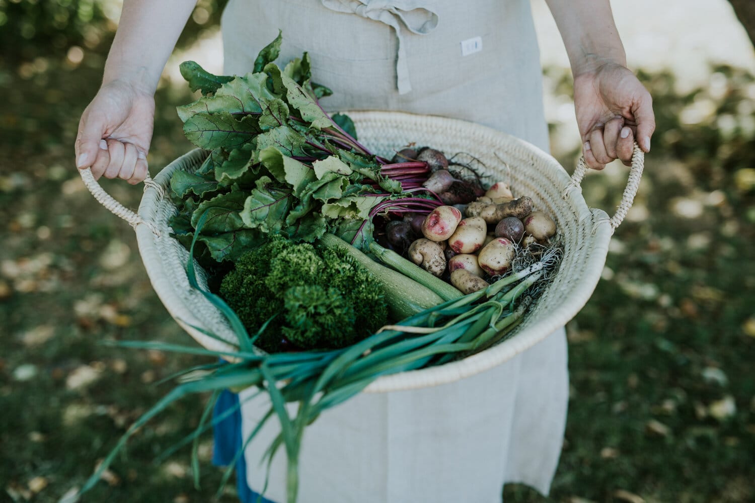 veggie garden (18).jpg
