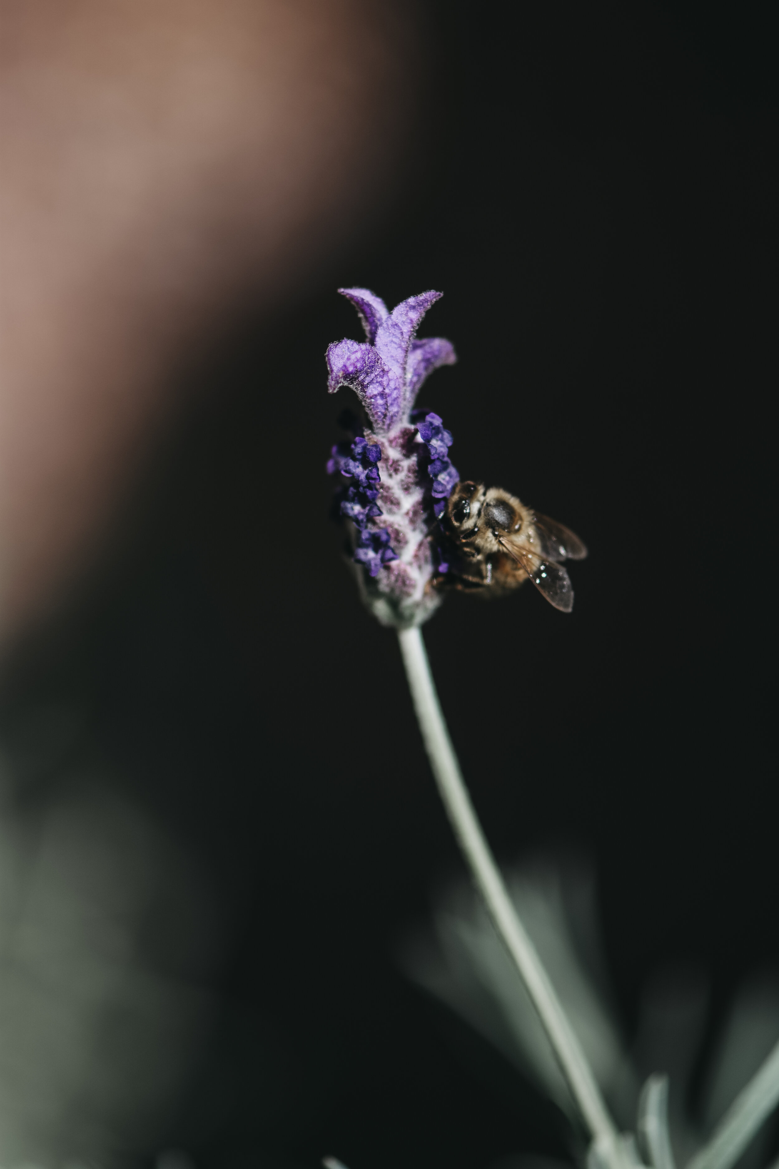 what abot this-08.jpg