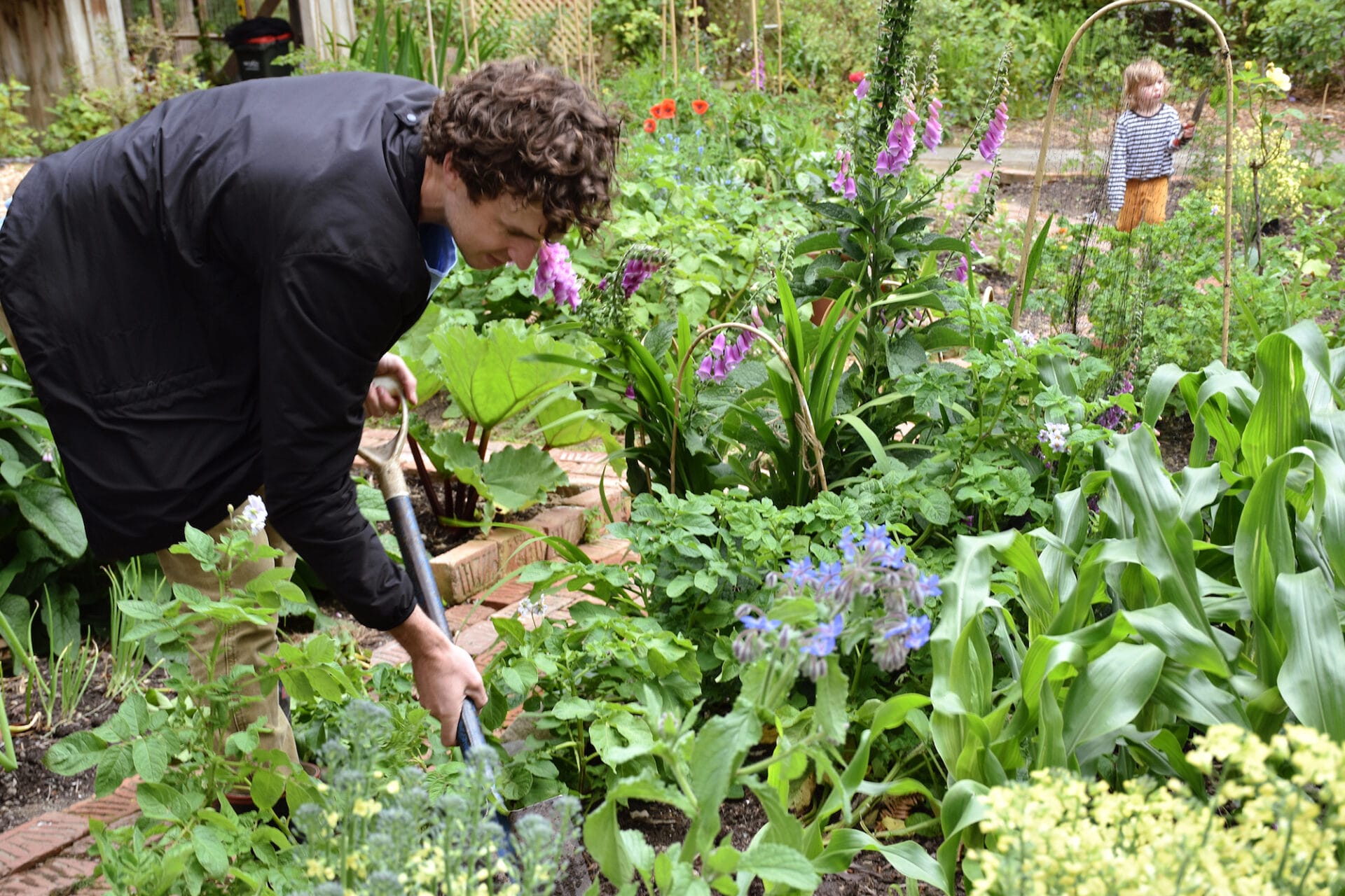 Edible Gardening | New Zealand Edible Gardening | New Zealand
