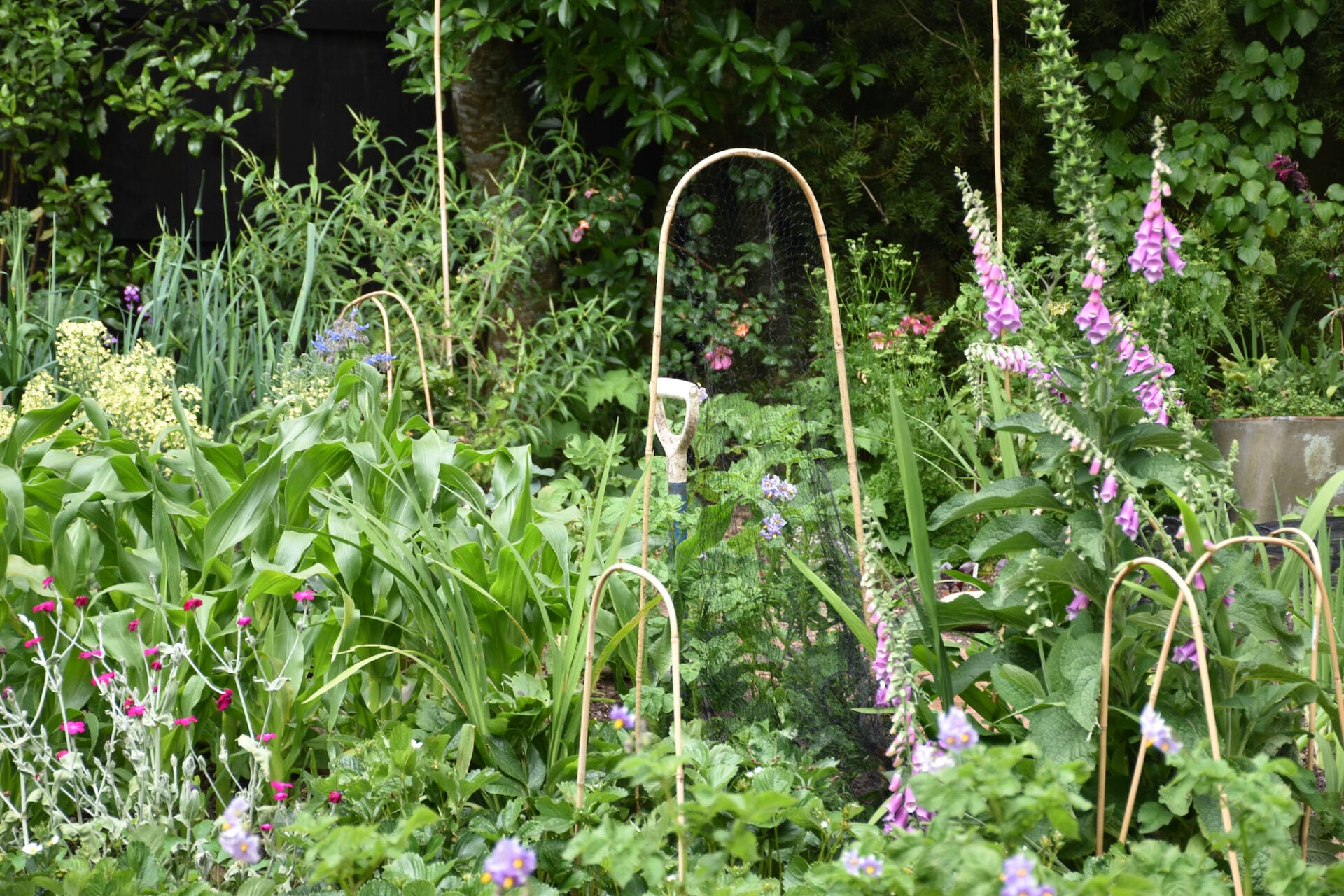 Wellington vegetable garden | Secret Gardens Wellington vegetable garden | Secret Gardens