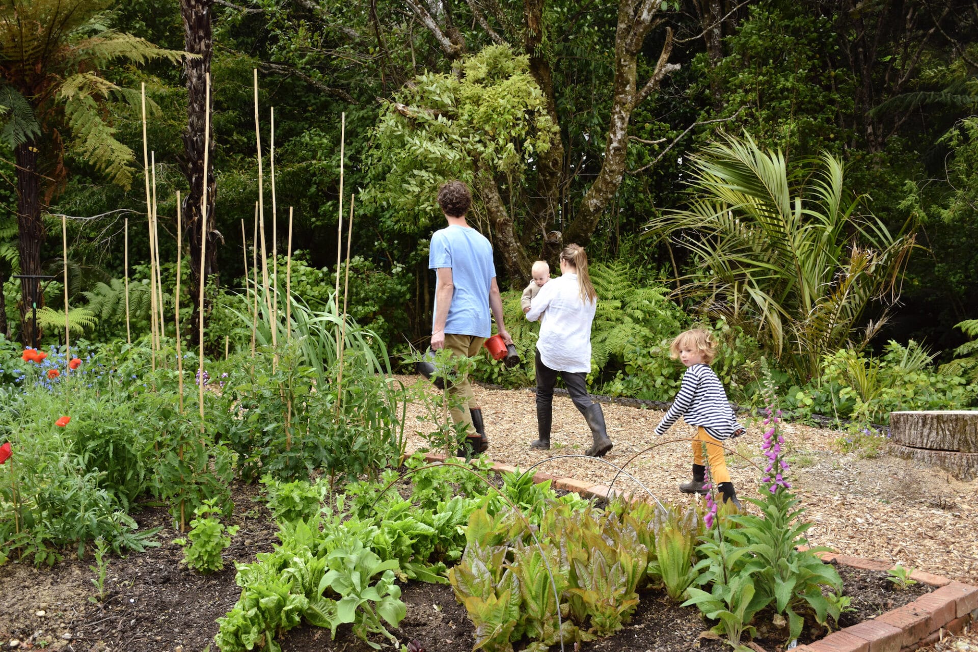 Jacob & Lucy | Stokes Valley Garden