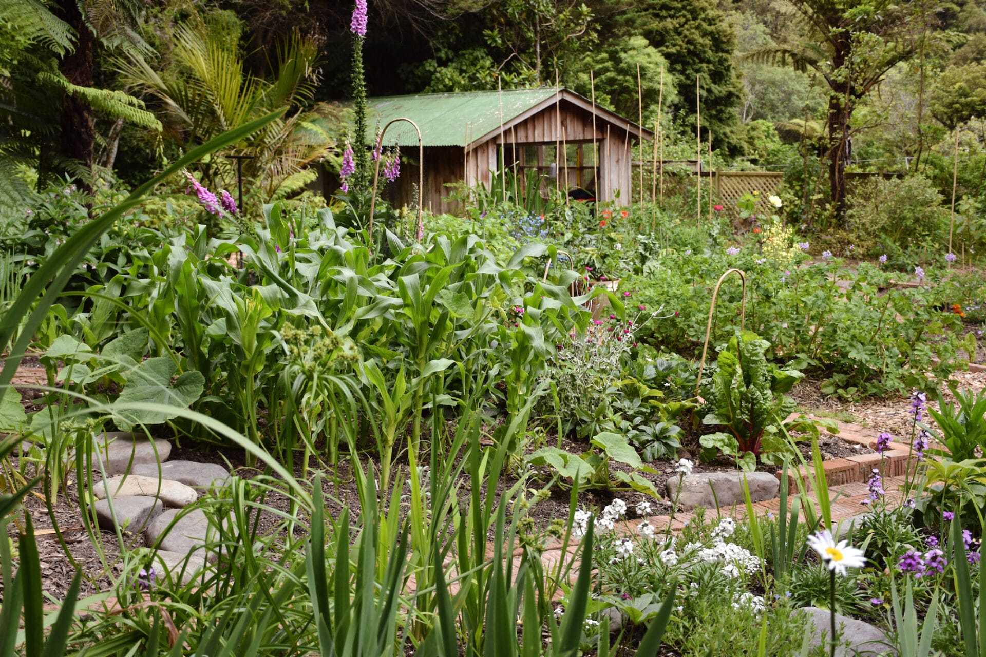 Wellington Garden | Secret Gardens of NZ Wellington Garden | Secret Gardens of NZ