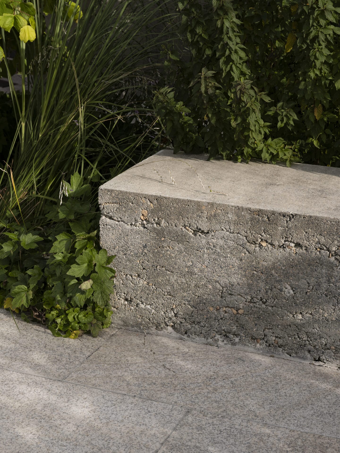 Jared Lockhart Design | Concrete Planters