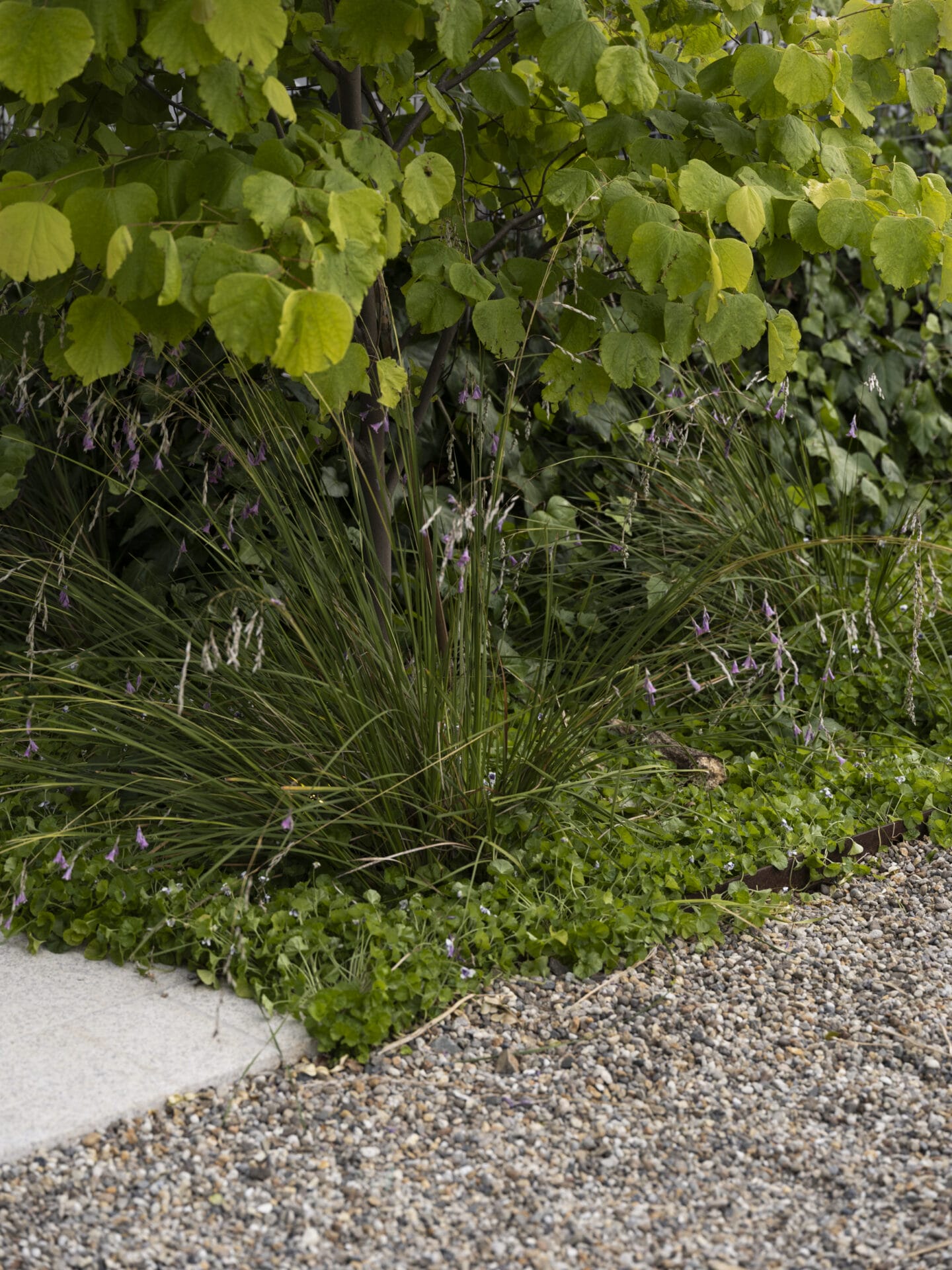 Jared Lockhart Design | Ground cover planting