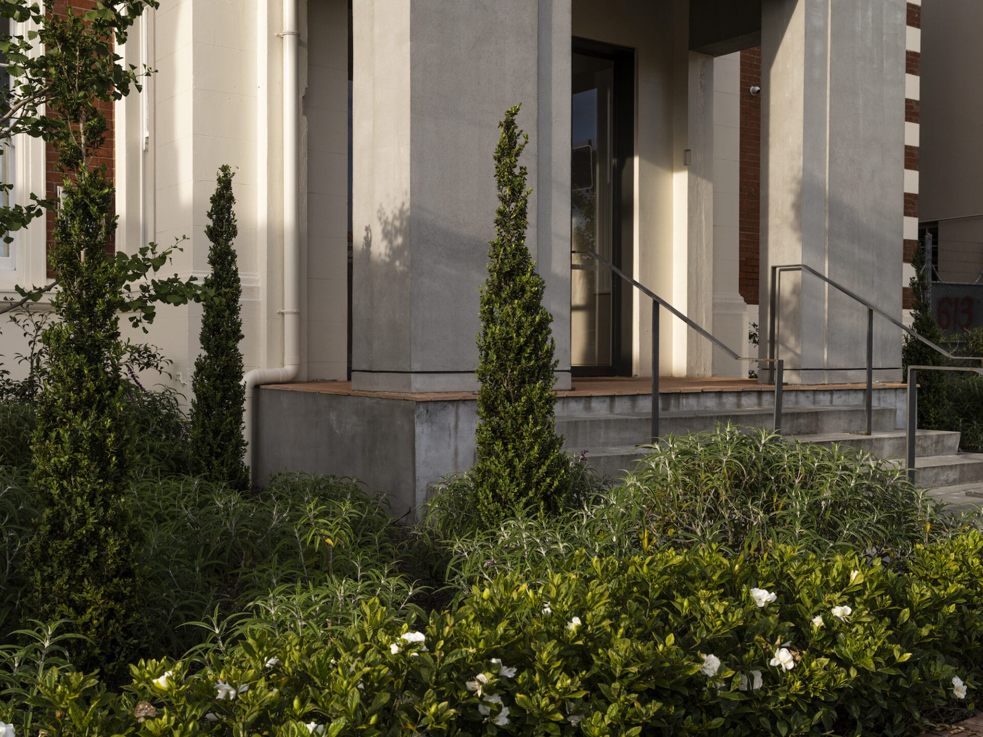 Jared Lockhart Design Auckland