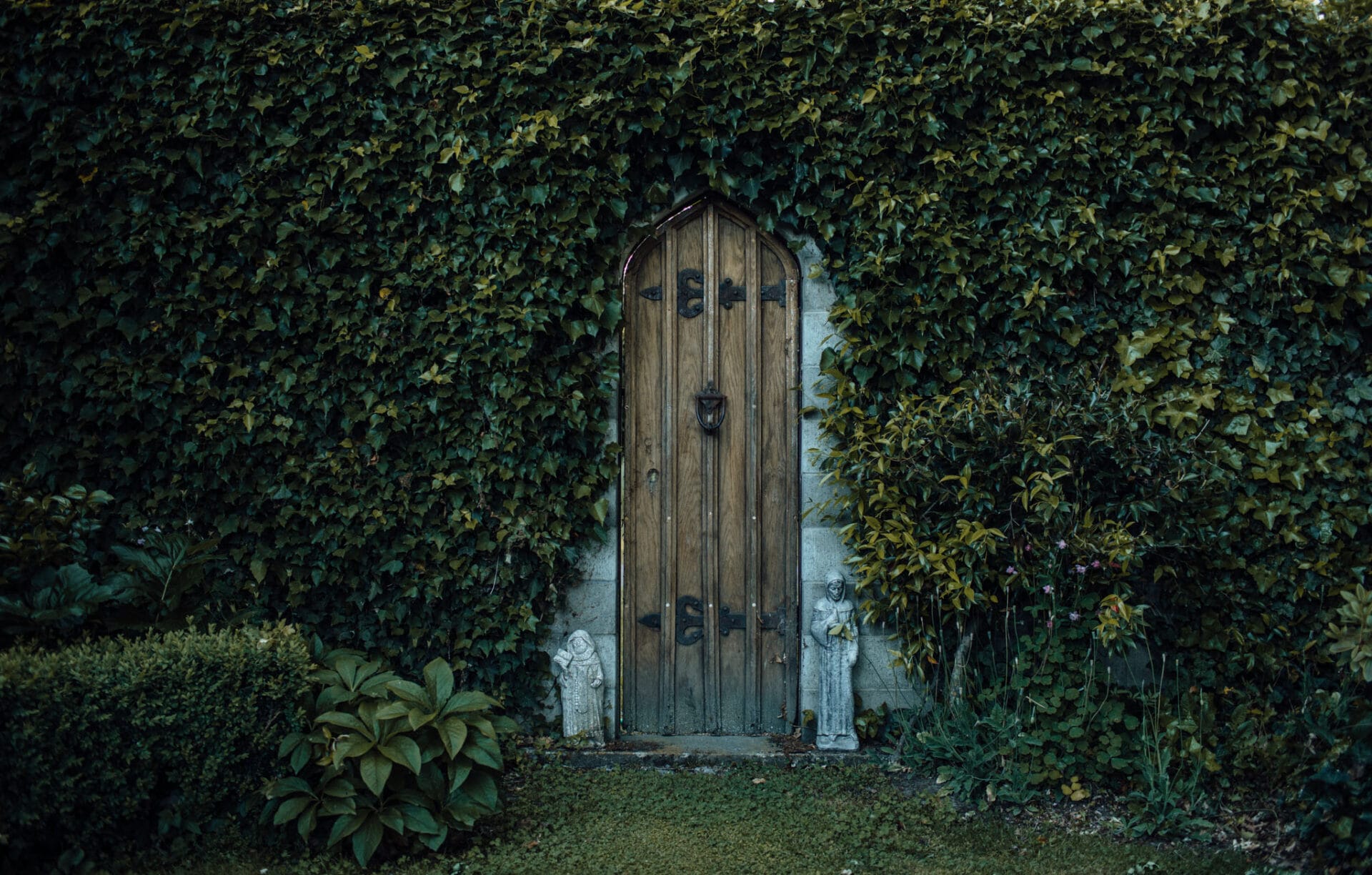 Sage Journal | A Gardener's Journal