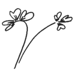Flower-3