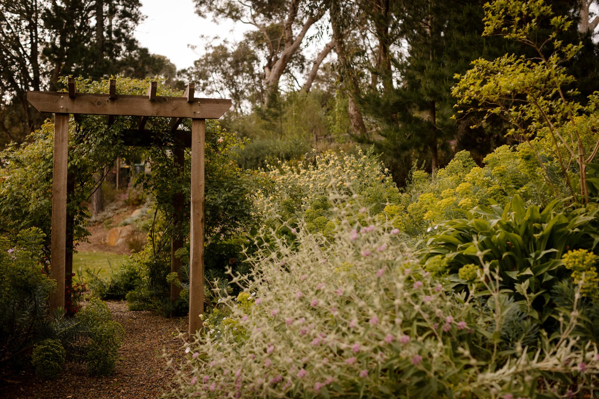 Ashley James Gardens