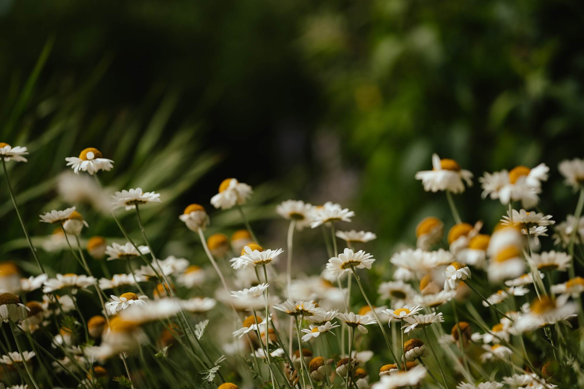 annie-spratt-o9zUTYlwB3E-unsplash