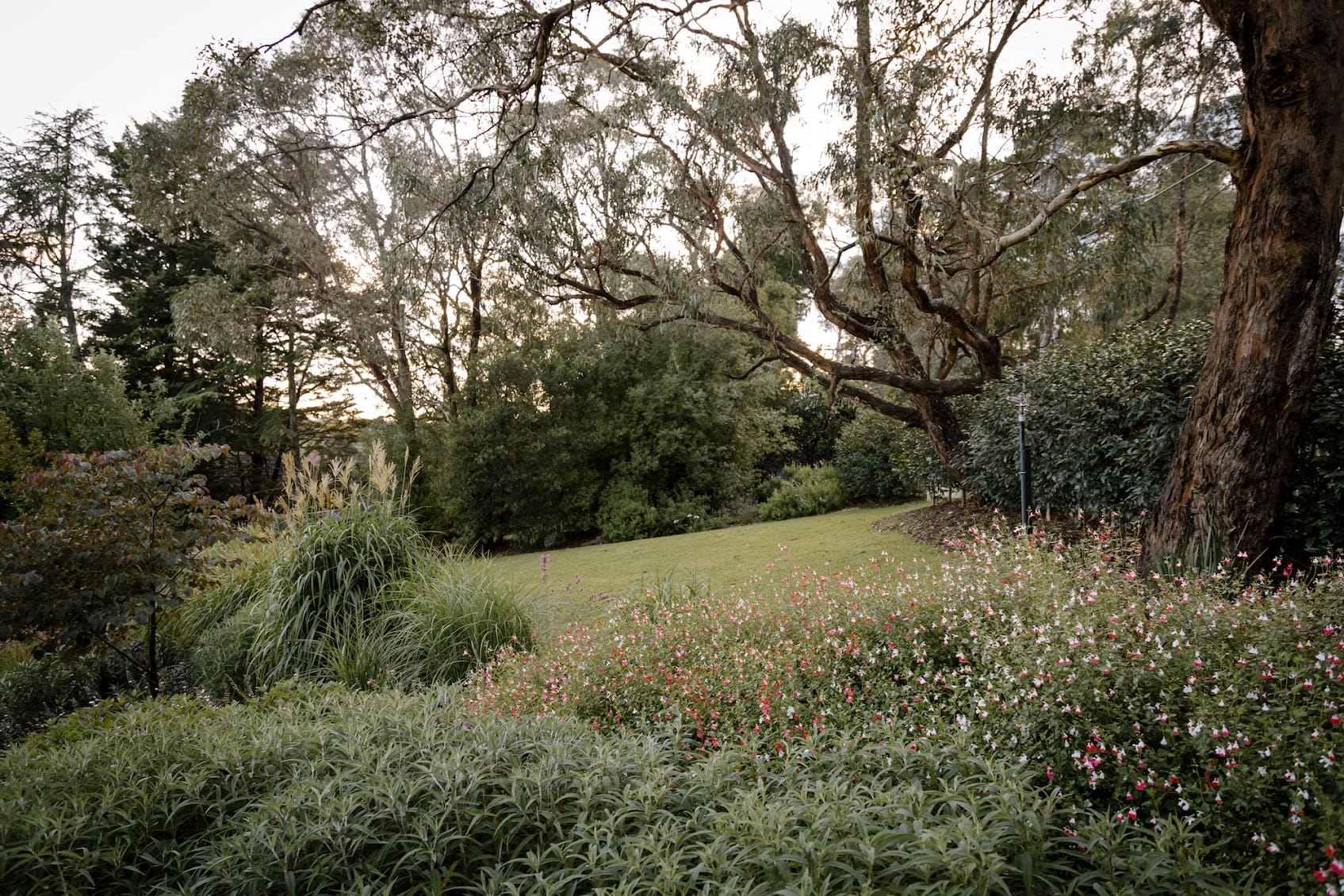 Ashley James Donvale Cottage