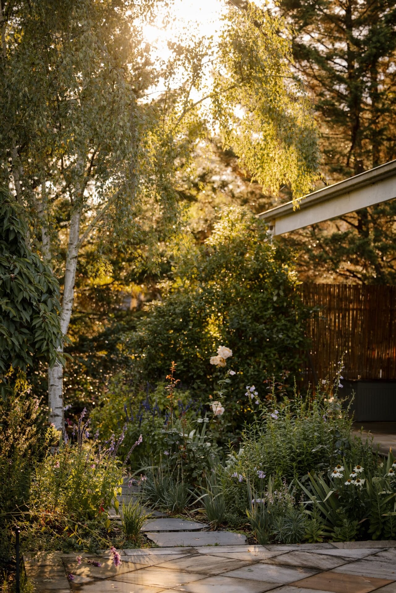 Ashley James Donvale Cottage