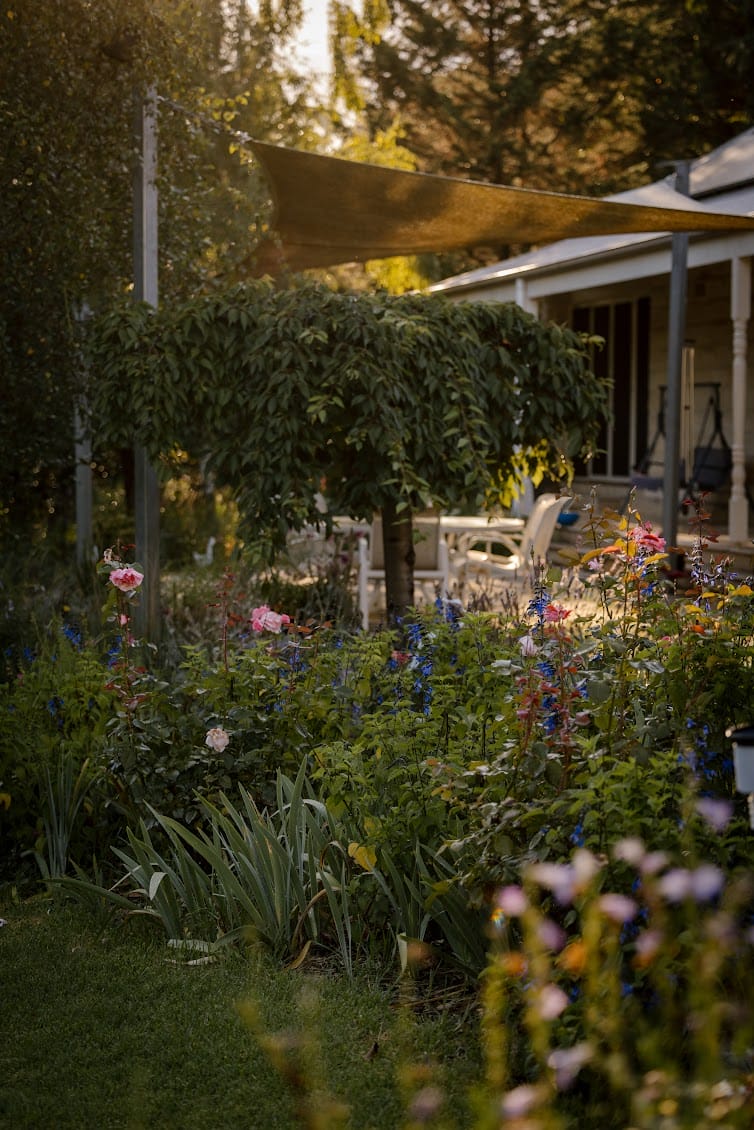 Ashley James Donvale Cottage Ashley James Donvale Cottage