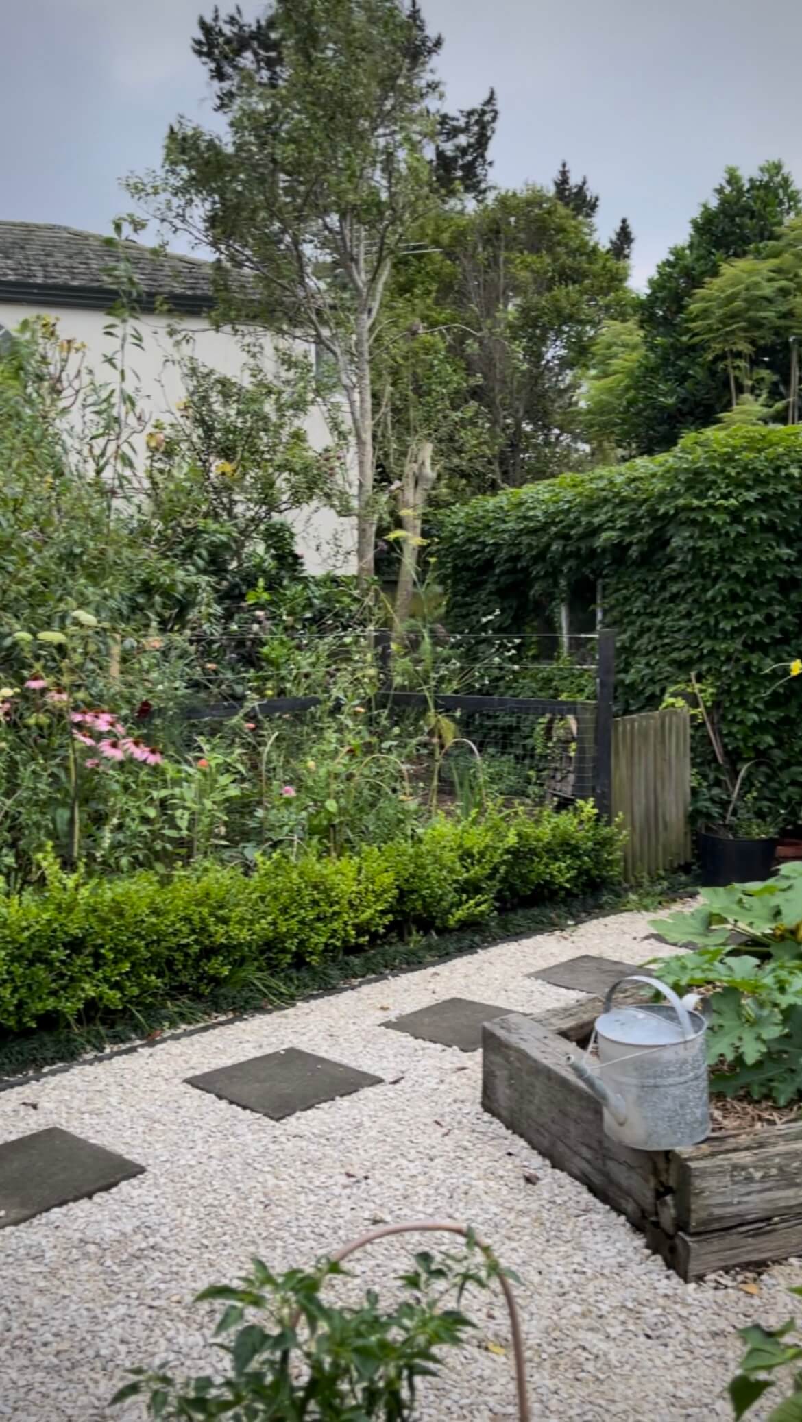 Phoebe Atkinson Garden Phoebe Atkinson Garden