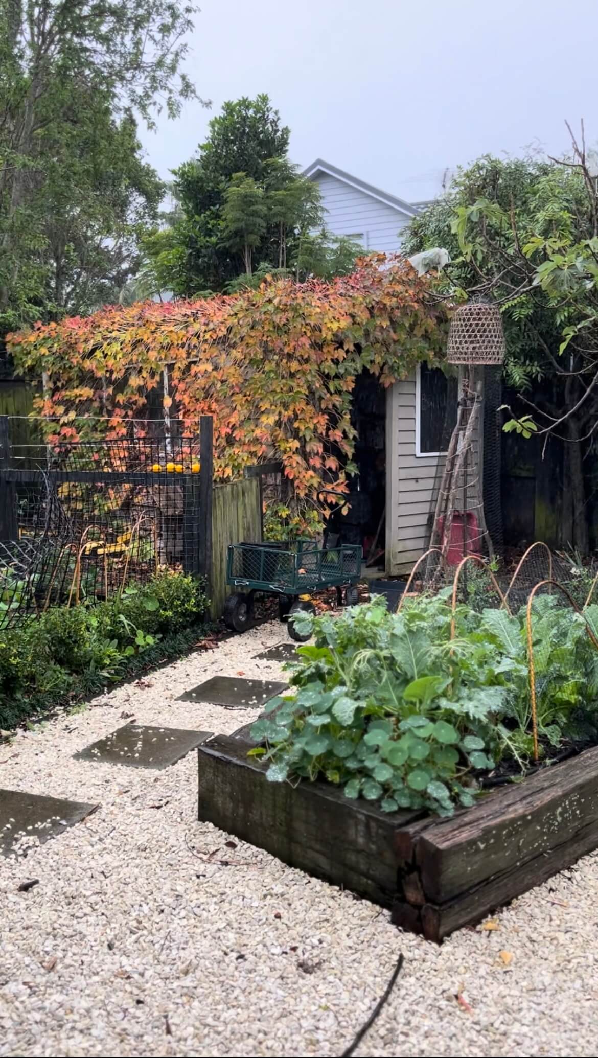 Phoebe Atkinson Autumn Garden Phoebe Atkinson Autumn Garden