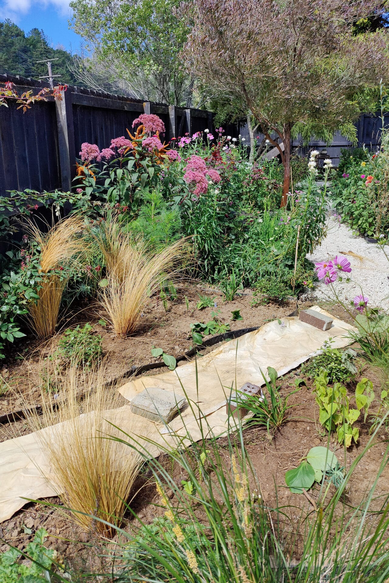 Planting perennials, shrubs and grasses in Autumn_