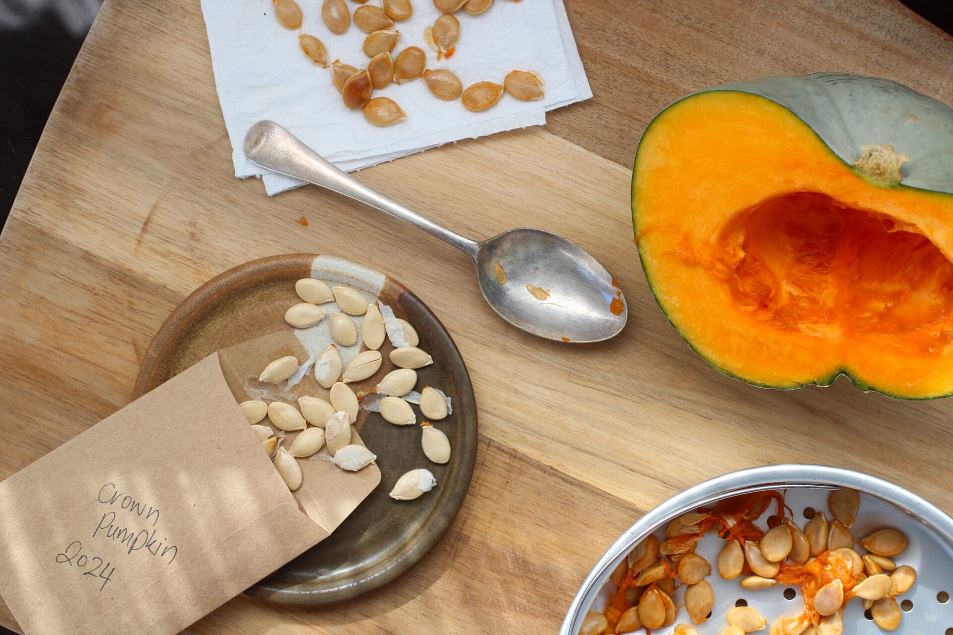 Pumpkin Seeds
