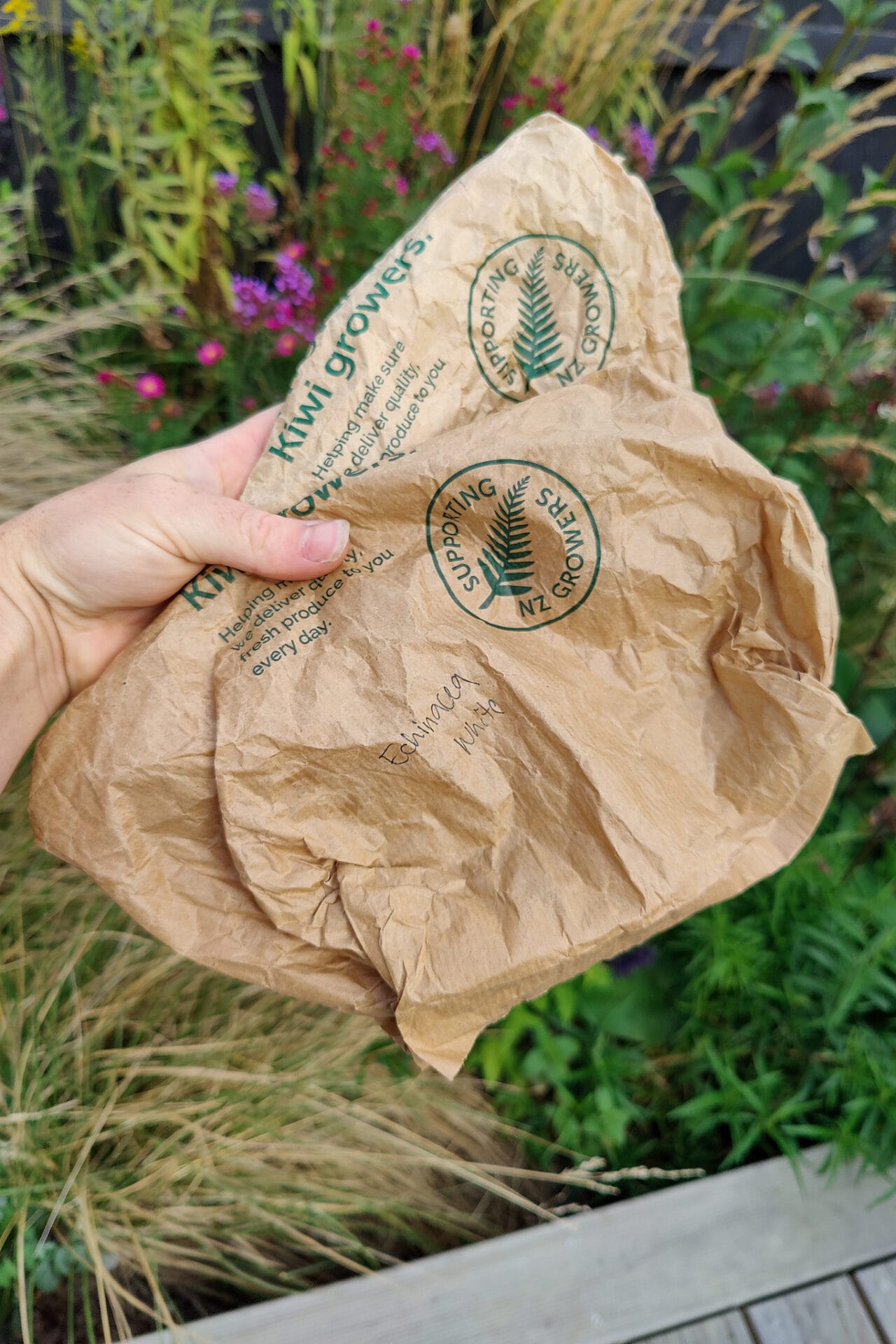 Drying seed heads in bags Drying seed heads in bags