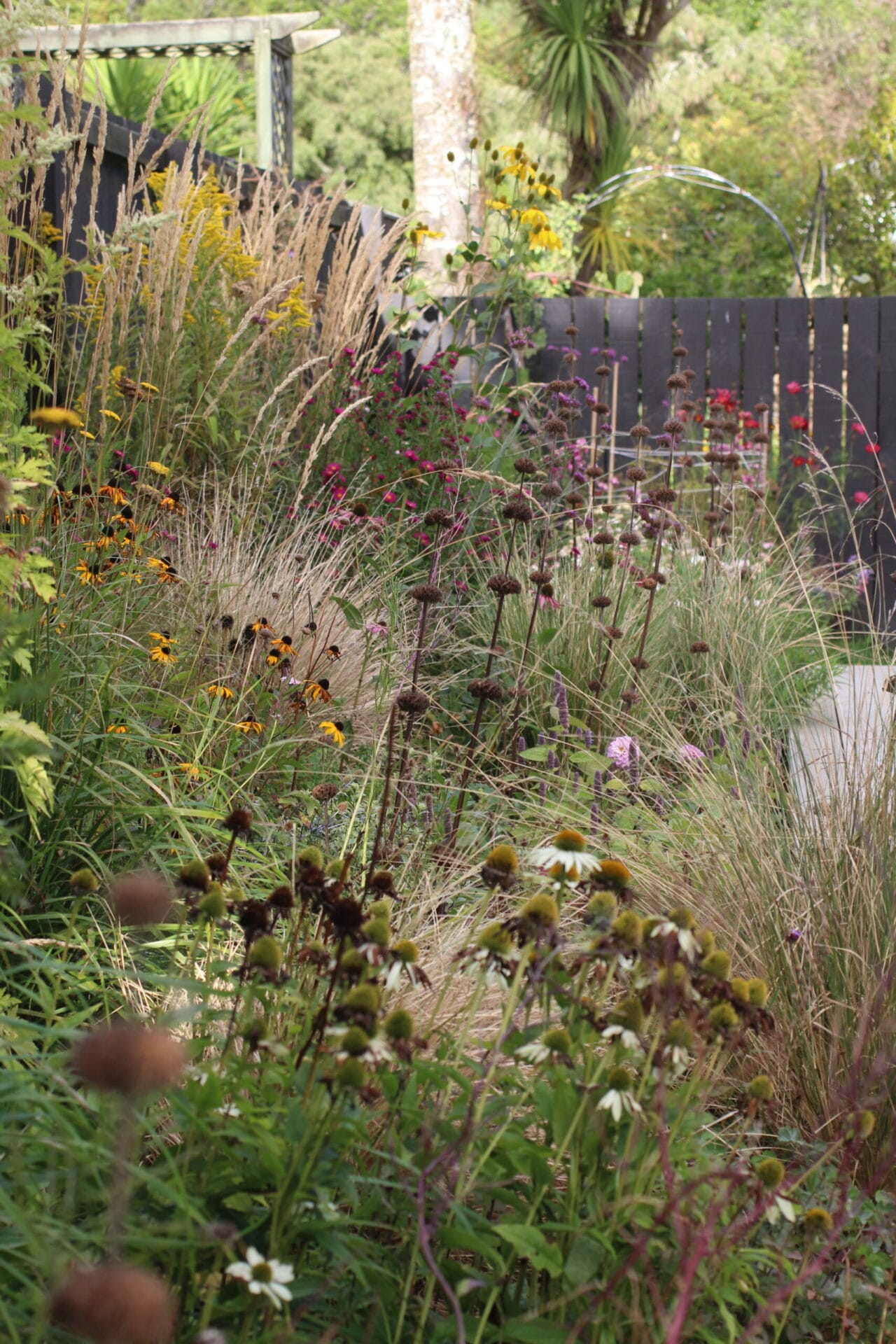Autumn garden, ready for seed saving