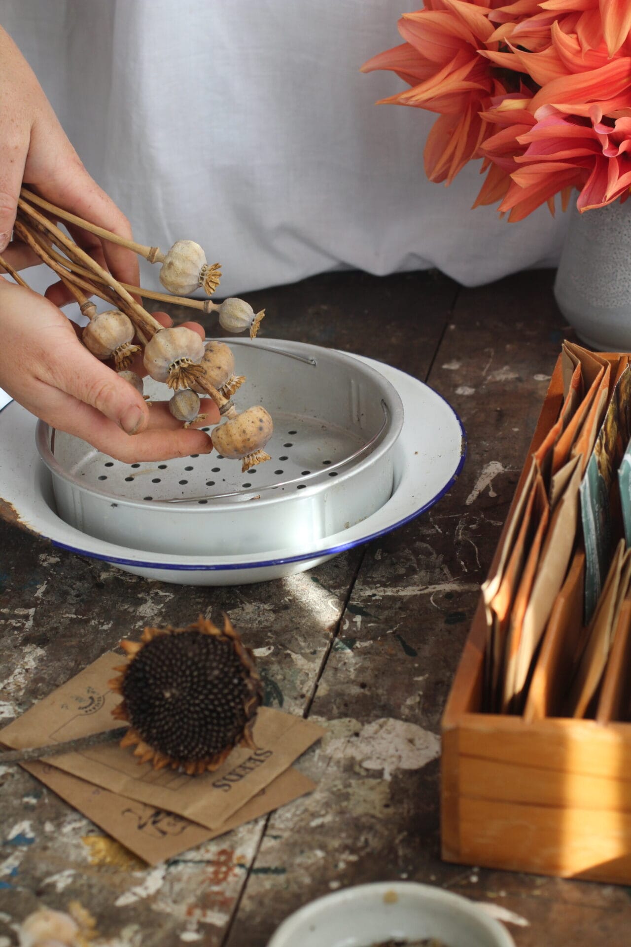 Use a colander to separate seeds from chaff