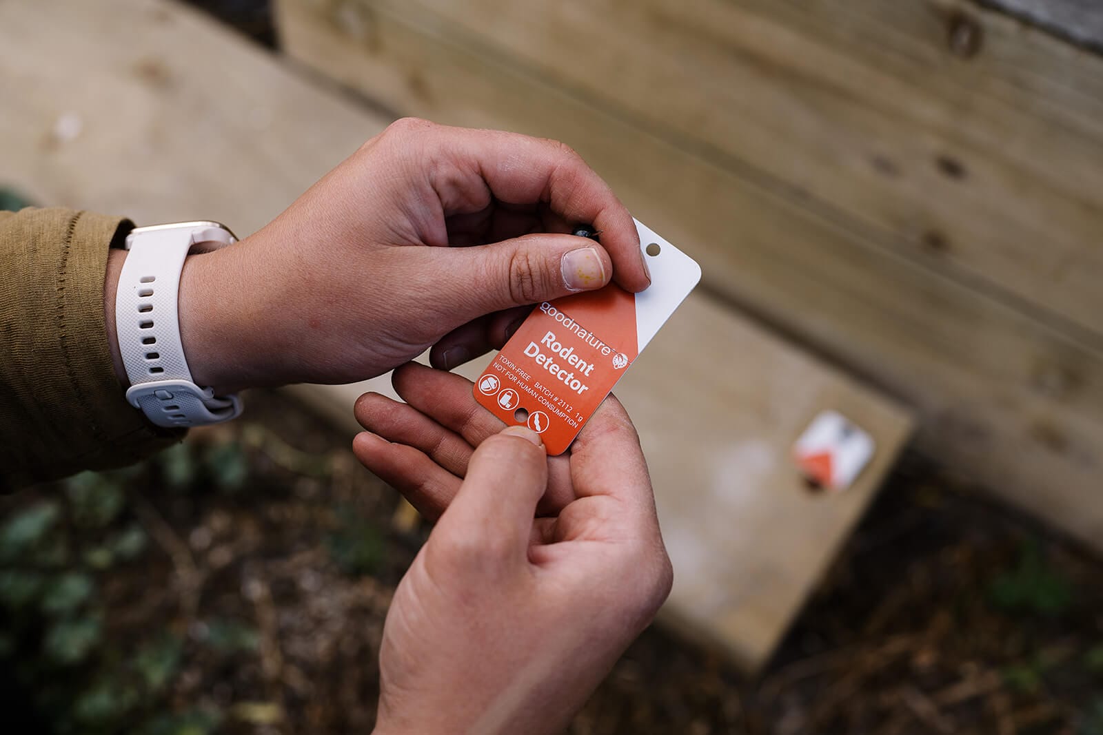 Rodent detector cards | Goodnature