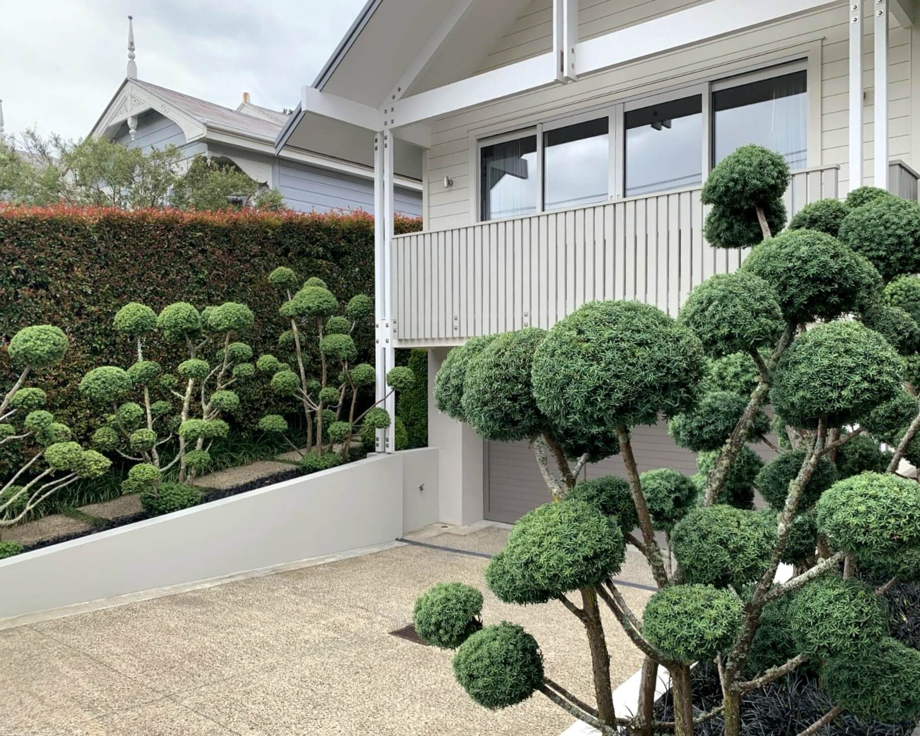 Seed Landscapes Herne Bay Seed Landscapes Herne Bay