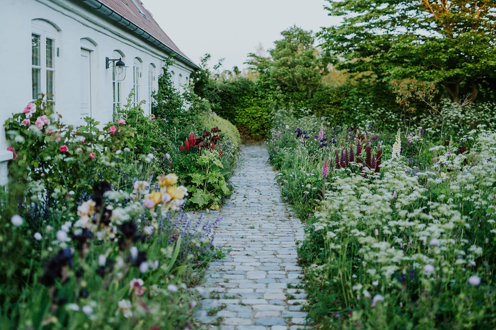 Wild cottage garden Camilla Jorvad