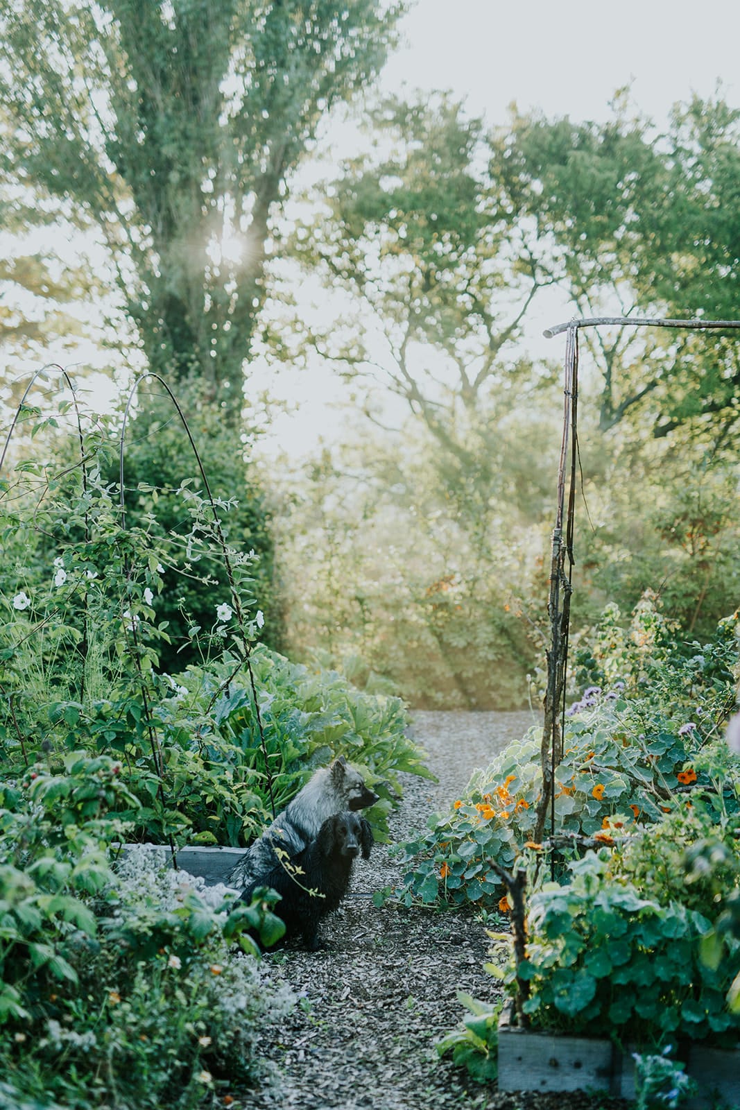 Camilla Garden July and August