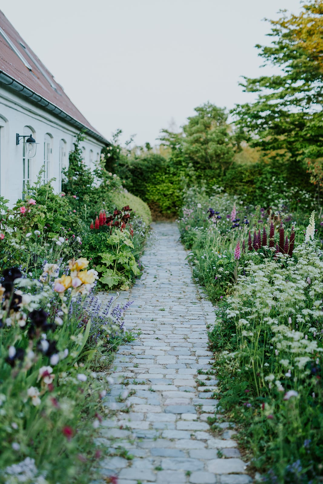 Camilla Garden May into June