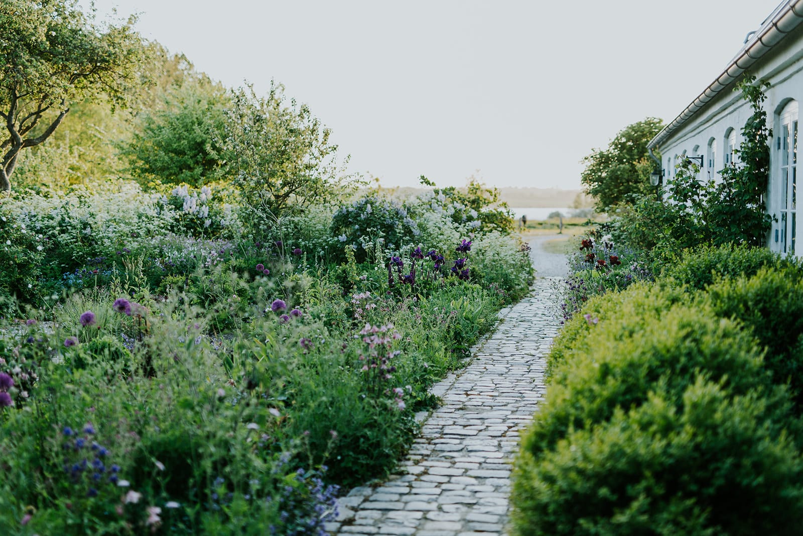 Camilla Garden May into June