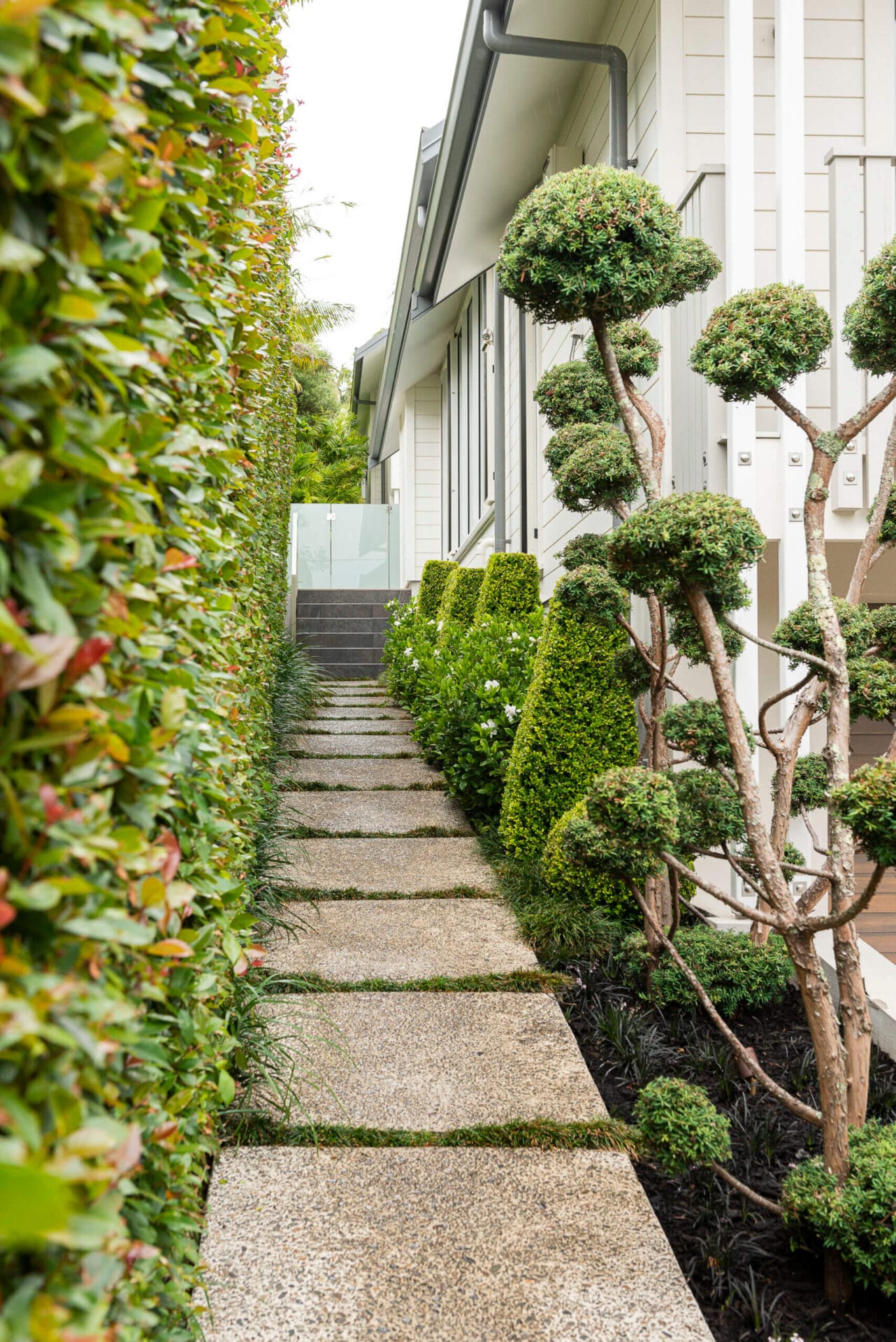 Herne Bay garden design 4 Seed Landscapes Herne Bay